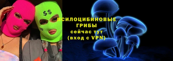 ПСИЛОЦИБИНОВЫЕ ГРИБЫ Абинск