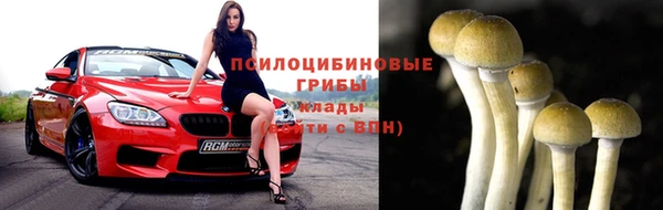 ПСИЛОЦИБИНОВЫЕ ГРИБЫ Абинск
