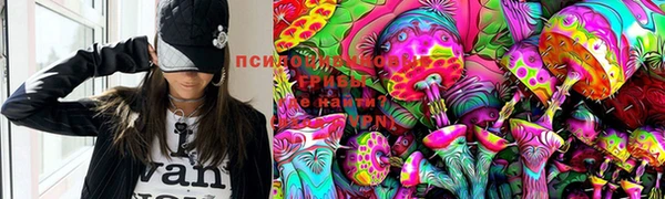 ПСИЛОЦИБИНОВЫЕ ГРИБЫ Абинск