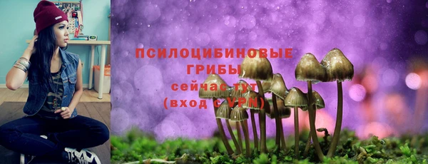 mdpv Касимов